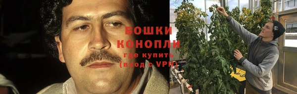 круглые Осинники