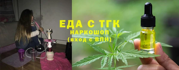 хмурый Ельня