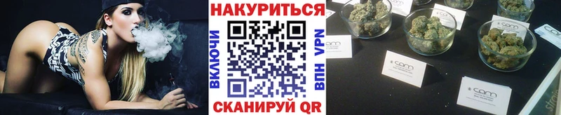 купить  цена  Козловка  Каннабис план 